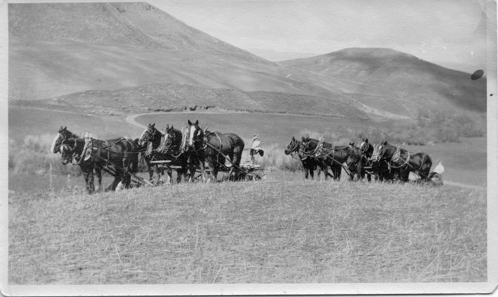 Kids on machinery Mills Ranch